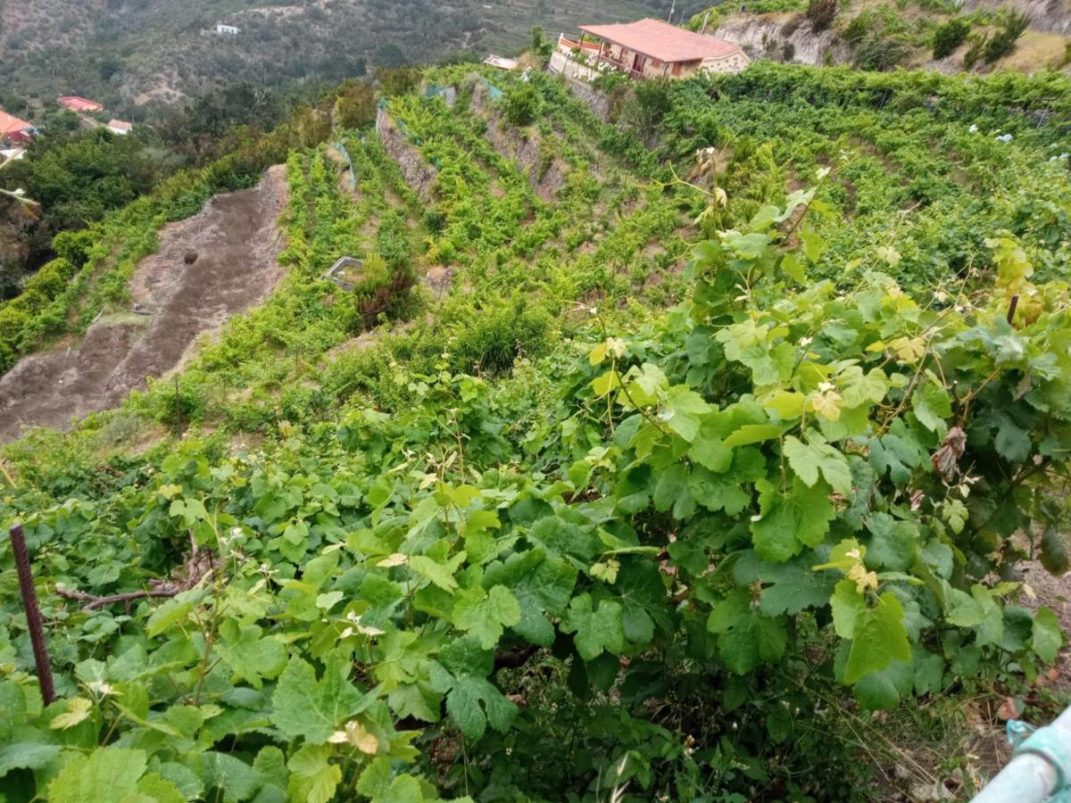 Casa Rural Quilla Agulo Dış mekan fotoğraf