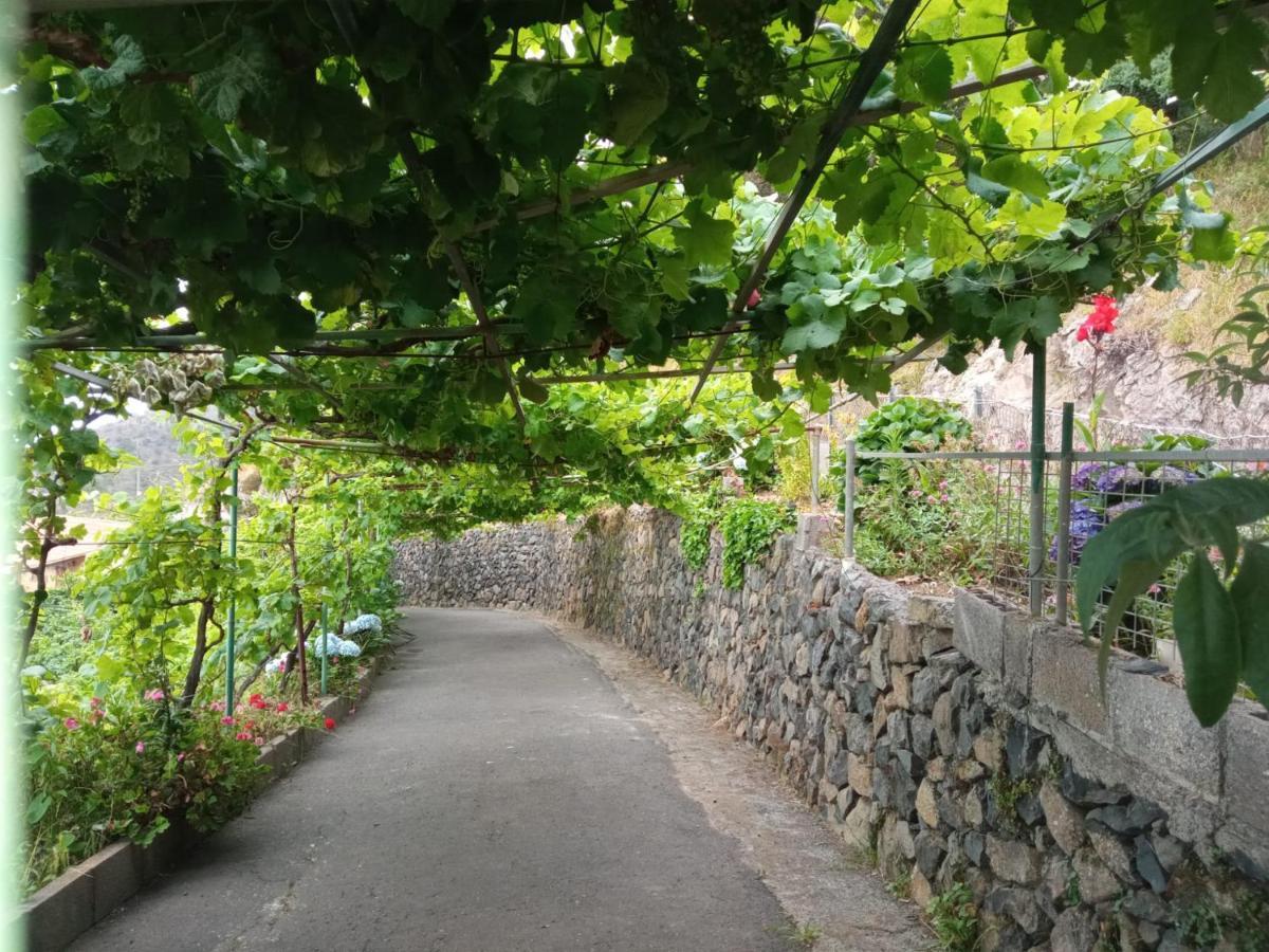 Casa Rural Quilla Agulo Dış mekan fotoğraf