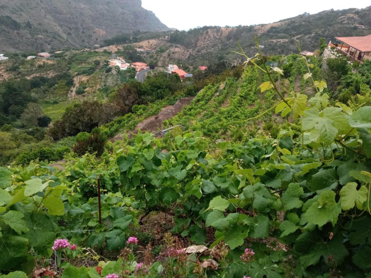 Casa Rural Quilla Agulo Dış mekan fotoğraf